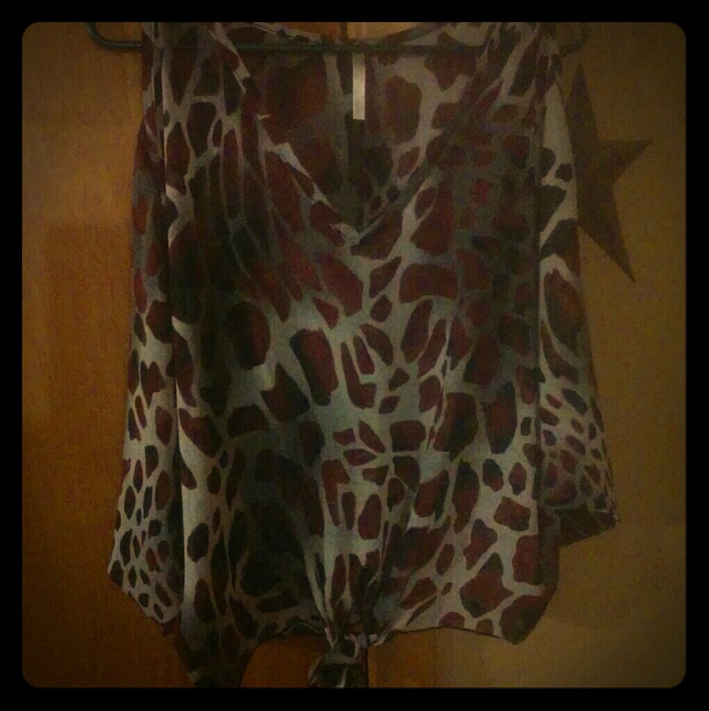 Classy sheer animal print blouse